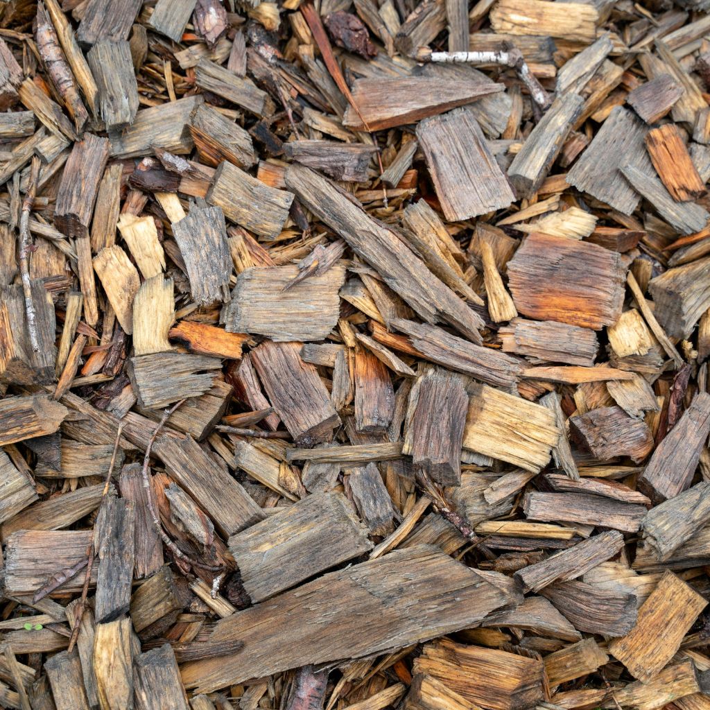 Návrh bez názvu - 2026-03-11T184539.616